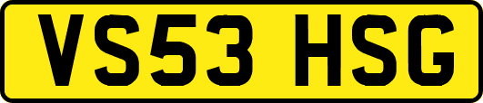 VS53HSG