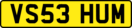VS53HUM