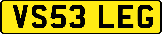 VS53LEG
