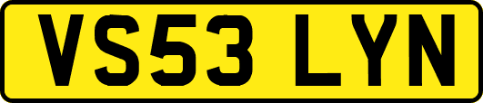 VS53LYN