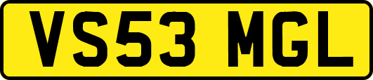 VS53MGL