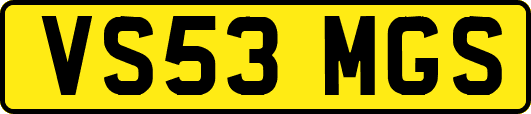 VS53MGS