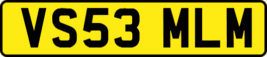 VS53MLM