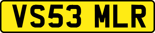 VS53MLR