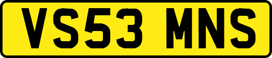 VS53MNS
