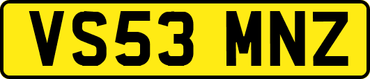 VS53MNZ