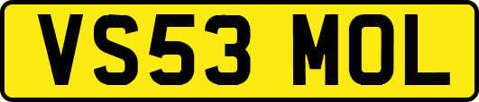 VS53MOL