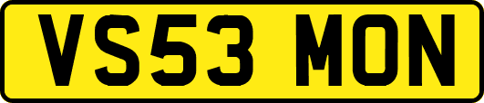 VS53MON