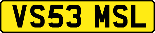 VS53MSL