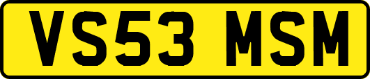 VS53MSM
