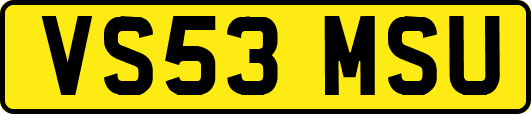 VS53MSU