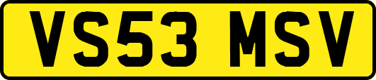 VS53MSV