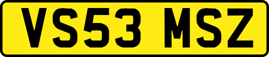 VS53MSZ