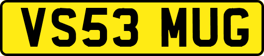 VS53MUG