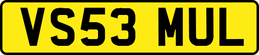 VS53MUL