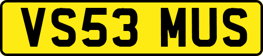 VS53MUS