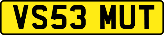 VS53MUT
