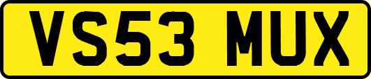 VS53MUX