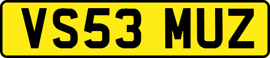 VS53MUZ