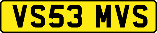VS53MVS