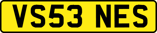 VS53NES