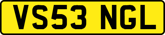 VS53NGL