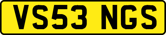 VS53NGS