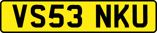 VS53NKU