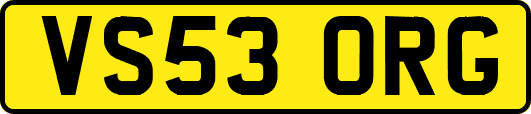 VS53ORG