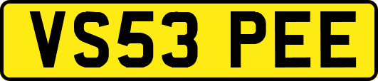 VS53PEE