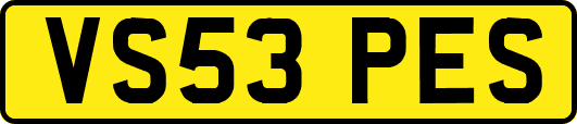 VS53PES