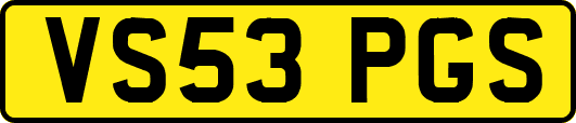 VS53PGS