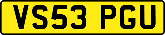 VS53PGU