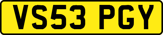 VS53PGY