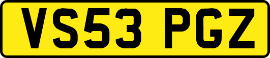 VS53PGZ