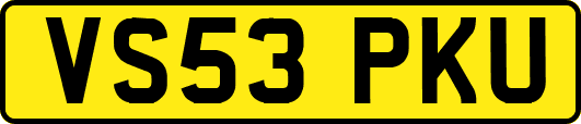 VS53PKU