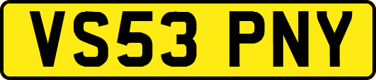 VS53PNY