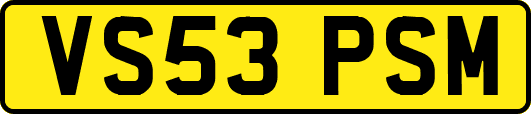 VS53PSM