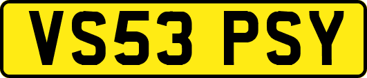 VS53PSY