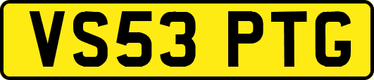 VS53PTG