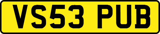 VS53PUB