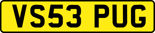 VS53PUG