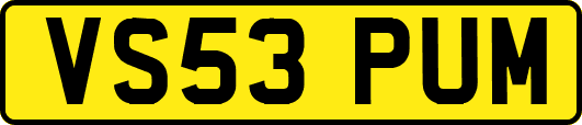 VS53PUM