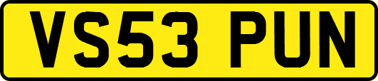 VS53PUN