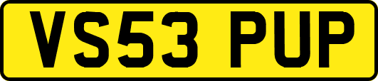 VS53PUP