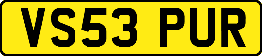 VS53PUR