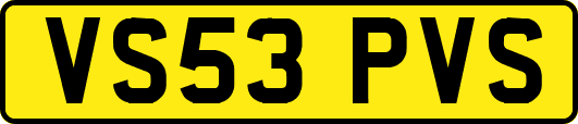 VS53PVS