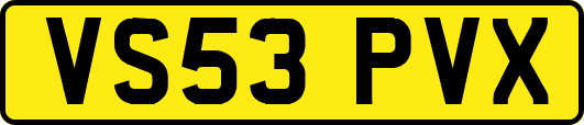 VS53PVX