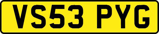 VS53PYG