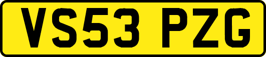 VS53PZG